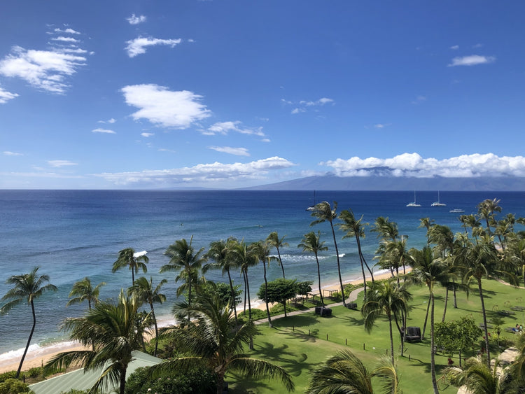About Us – Honolua Surf